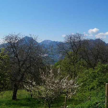 팜스테이 Schoberhof