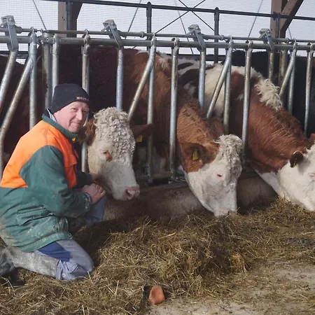 Gospodarstwo agroturystyczne Schoberhof *