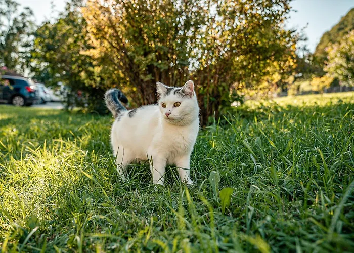Schoberhof Фермерский дом