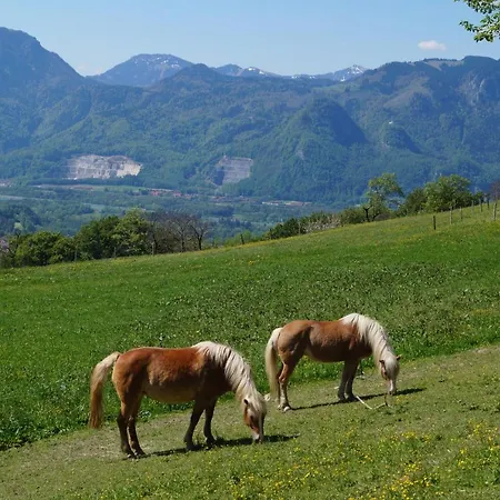 Schoberhof Bauernhof