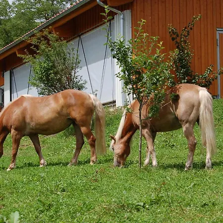 Schoberhof Bauernhof Samerberg