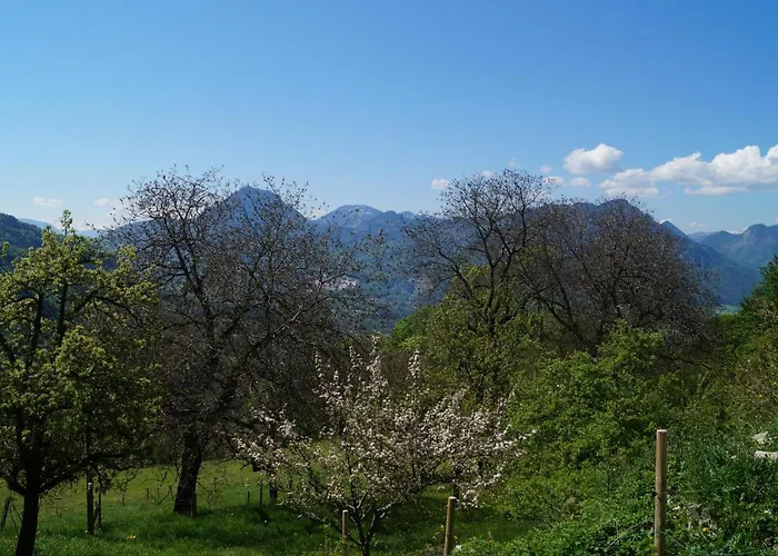مزرعة للإقامة Schoberhof